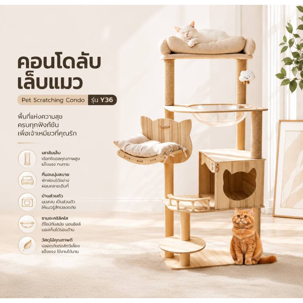 [ส่งไว/มีโค้ด] PetParadise คอนโดแมวไม้  คอนโดลับเล็บแมวพร้อมเปลนอน มินิมอล แข็งแรง