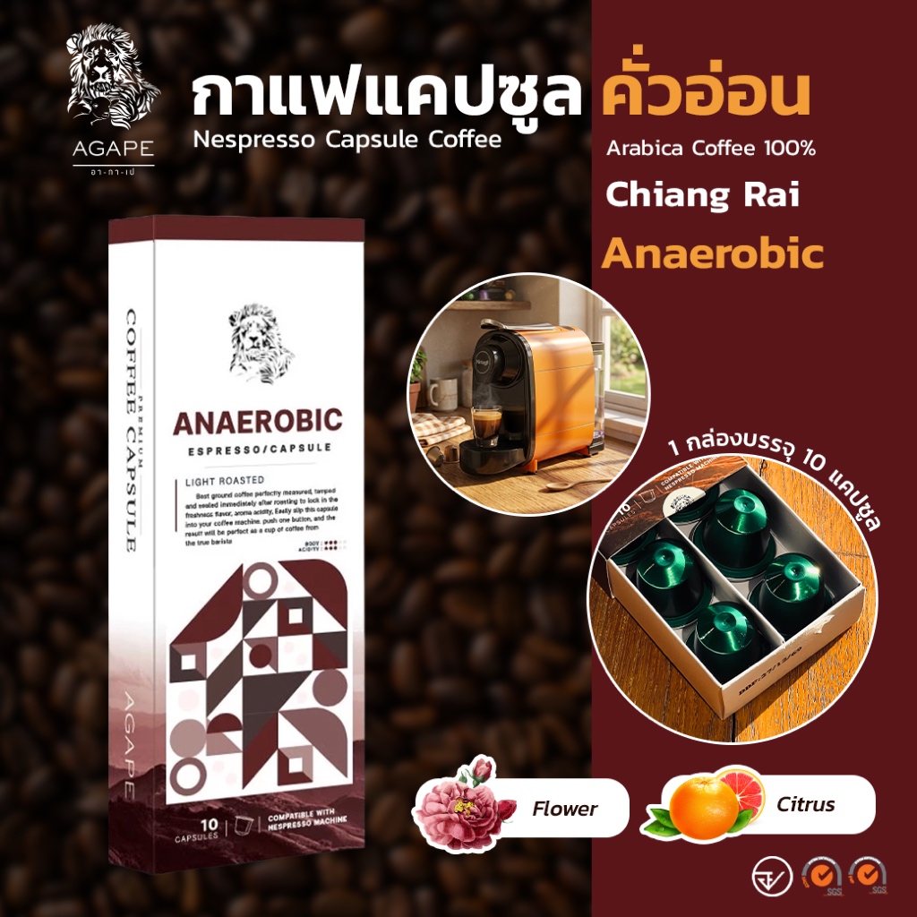 กาแฟแคปซูล ใช้กับเครื่อง Nespresso ได้ อาราบิก้า 100% คั่วอ่อน (Anaerobic) กล่อง 10 แคปซูล