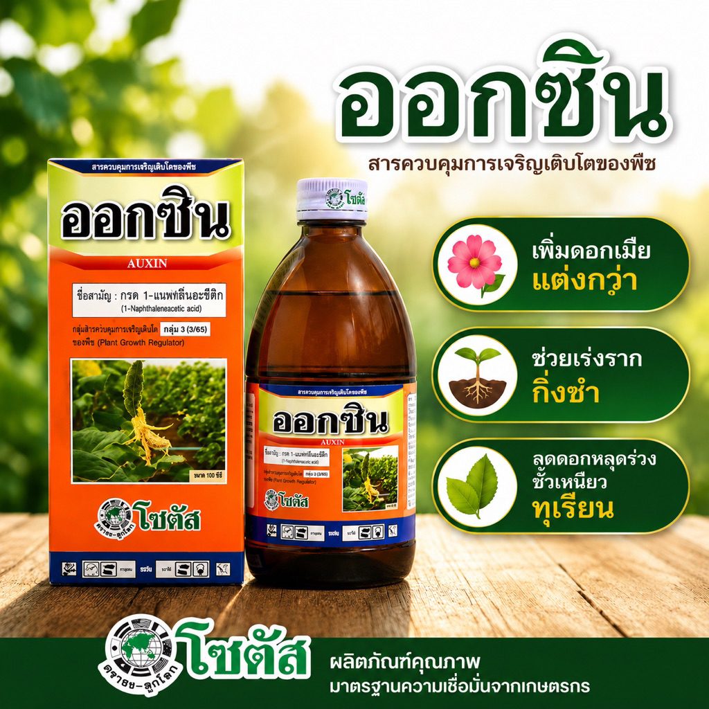 ออกซิน ขั้วเหนียว ลดการหลุดร่วง กระตุ้นการเกิดราก และเเปลงเพศดอก