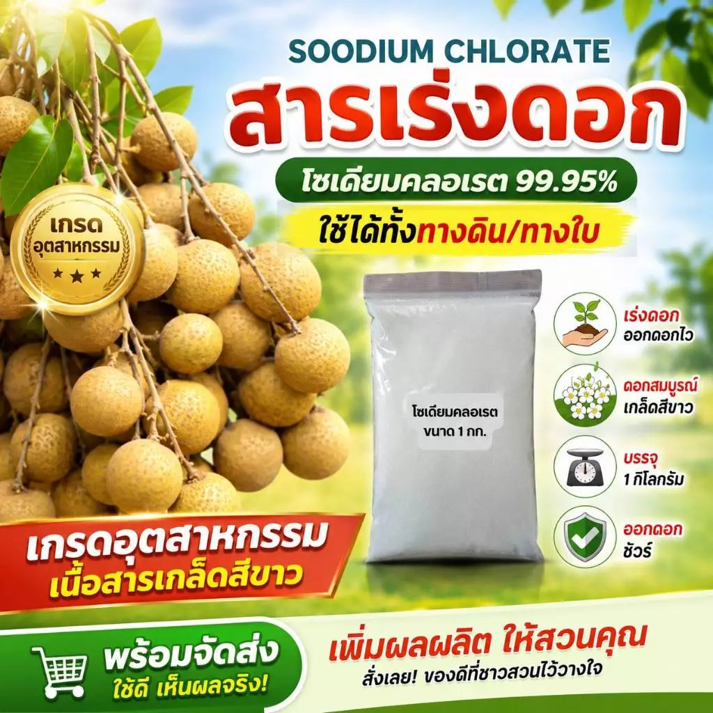 โซเดียมคลอเรต สารเร่งดอกลำไยของแท้ ใช้พ่นทางใบหรือราดทางดินก็ได้ ใช้แล้วได้ผล 100%