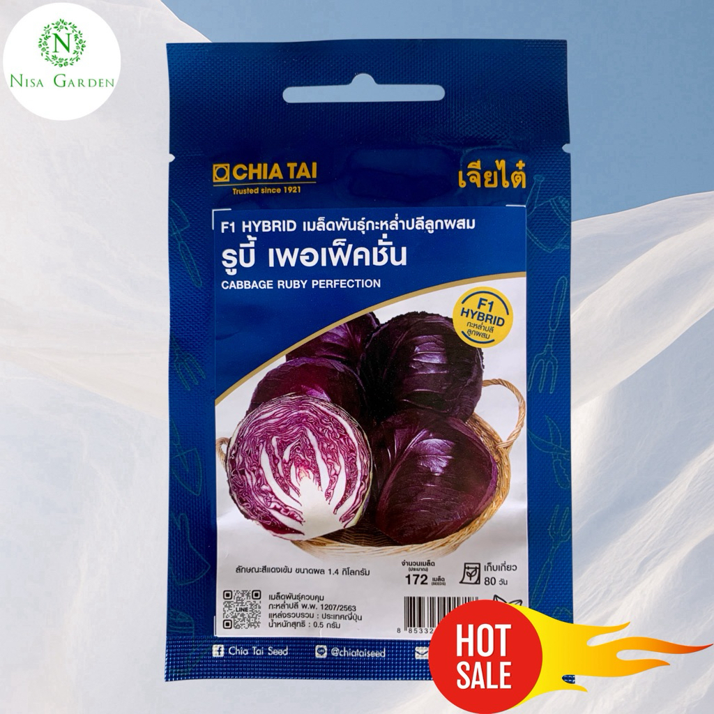 Nisa Garden เมล็ดพันธุ์ F1 กะหล่ำปลีม่วง ลักษณะสีม่วงเข้ม ผลขนาด 1.4 กิโลกรัม