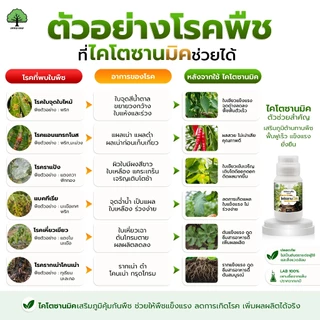 ไคโตซานมิค ตราเทพมงคล สูตรพืช 500 ซีซี 1 ขวด