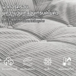 โซฟาเบดเดี่ยว 1 ที่นั่ง โซฟาปรับนอนได้ 2 in 1 พับเก็บได้ ผ้าลูกฟูก นุ่มสบาย เหมาะกับคอนโด ห้องเล็ก