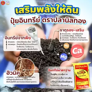 ปลานิลทอง ปุ๋ยอินทรีย์ ปรับหน้าดิน กระสอบ 25 กก ลดความเป็นกรดในดิน ทำให้ดินร่วนซุย เพิ่มธาตุอาหาร สร้างสมดุลธาตุอาหารในด