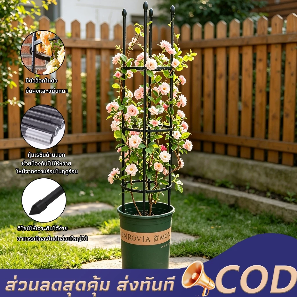 ซุ้มกุหลาบเลื้อย ซุ้มไม้เลื้อย โครงเหล็กแข็งแรง เคลือบ PE กันสนิม ประกอบง่าย เหมาะแต่งสวนหรือซุ้มทางเดิน