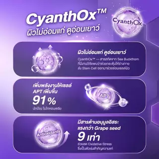 SWISSE REJU+ 30 TABS สวิสเซ รีจู 30 เม็ด
