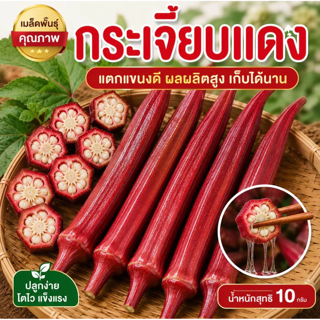 เมล็ดพันธุ์กระเจี๊ยบแดง Red Okra ฝักยาว สีแดงสวย ปลูกง่าย โตไว อัตราการงอกสูง เก็บผลผลิตได้นาน