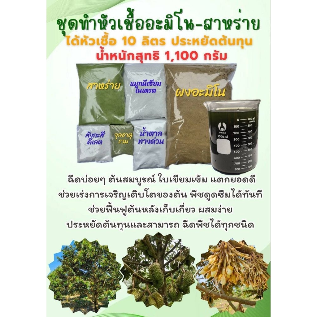 อะมิโนสาหร่ายสูตรผสมเอง ทำหัวเชื้อ10 ลิตร ช่วยให้เกษตรกรประหยัดต้นทุน ต้นสมบูรณ์กระตุ้นการออกดอกได้ดีใช้ได้กับพืชทุกชนิด