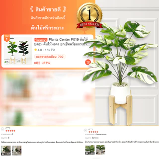 Plants Center P019 ต้นไม้ปลอม ต้นไม้มงคล ยกเซ็ทพร้อมกระถางเบลล่า ฟรีหินโรยสีขาว ต้นไม้ตกแต่งมินิมอล