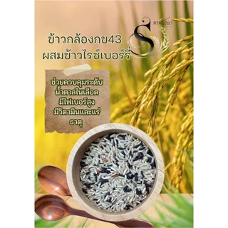 ข้าวกล้องผสมไรซ์เบอร์รี่ ตราทรัพย์ธนา ขนาด500กรัม อร่อย คุ้มสุด