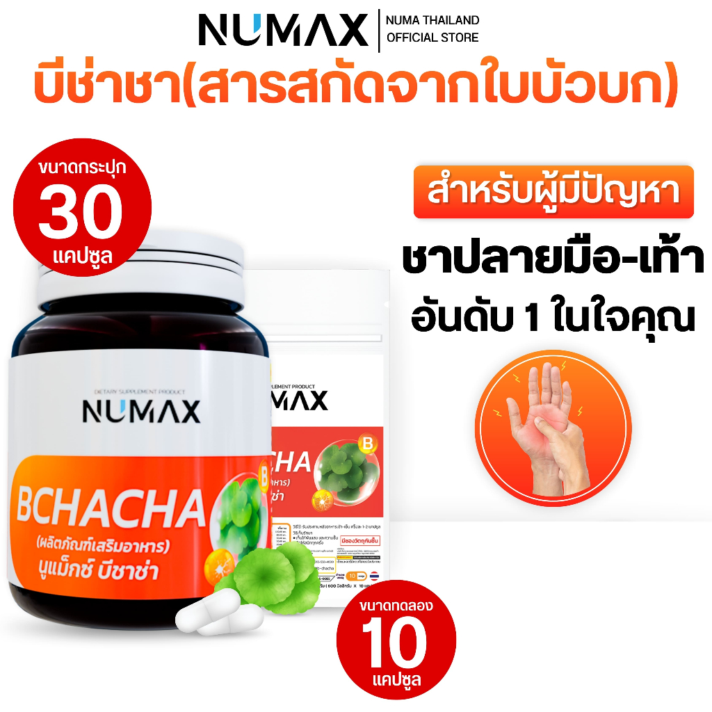 NUMAX B CHACHA ผลิตภัณฑ์อาหารเสริม (นูแม็กซ์ บีชาช่า)