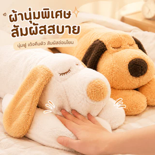 【พร้อมส่ง】ตุ๊กตาหมอนข้างตัวใหญ่ หมอนตุ๊กตาสุนัข หมอนกอด ตุ๊กตายาว ของขวัญ นุ่ม 110/130/150ซม.