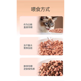 ใหม่!!ถังม่วง,เขียว RANOVA Five Treasures Freeze-Dried Complete Meal อาหารแมวฟรีซดราย 300กรัม (20ซอง×15กรัม)