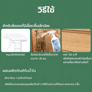 🔥ส่งเร็ว🔥 สเปรย์กำจัดเชื้อรา 550ml น้ำยาขจัดเชื้อรา สำหรับผนัง ห้องน้ำ ไม้ ขจัดคราบดำ ป้องกันเชื้อรา