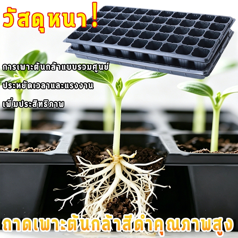 ถาดเพาะกล้าสำหรับเกษตรกร พลาสติกหนาไม่เสียรูปง่าย มีรูระบายน้ำป้องกันเชื้อรา เลือกได้ 21/50/105 หลุม ทนทานใช้ซ้ำได้