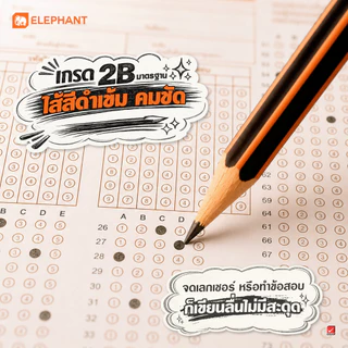 Elephant ดินสอ ดินสอดำ ดินสอ 2b จำนวน 12 แท่ง