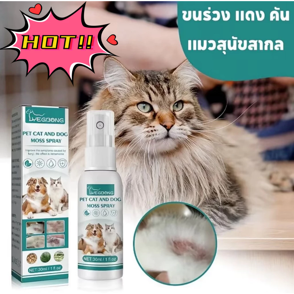 พร้อมจัดส่ง สเปรย์ผิวหนังสุนัขและแมว เชื้อรา กลาก เกลื้อน ขี้เรื้อน หายไว 30ml น้ำยาบำรุงผิวสัตว์เลี้ยง ส่วนผสมจากพืช.