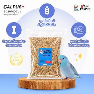 vloveforpus CALPUS+ อาหารสำหรับนกแก้ว (ฟอพัส) อาหารนก ธัญพืชรวม+อาหารไข่+แคลเซียม (แพ็ค 1 kg)