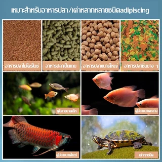 เครื่องให้อาหารปลา 250g อัพเกรดความจุ อัตโนมัติที่เวลาอัจฉริยะ 4เกียร์ ปริมาณยาที่แม่นยำ ใช้ในตู้ปลา การเลี้ยงปลาเล็กแ