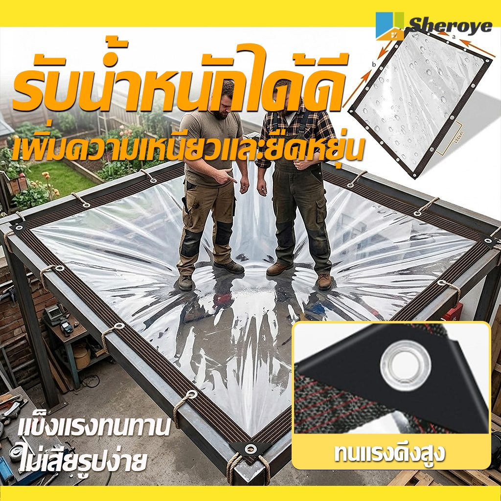 Thumbnail 8