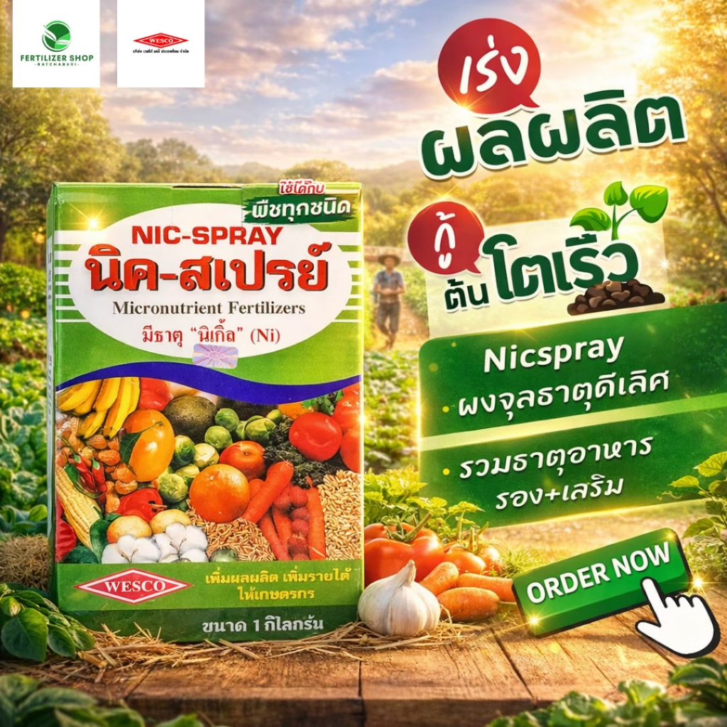 นิค-สเปรย์ Chelate-EDTA (ขนาด 1kg) เวสโก้