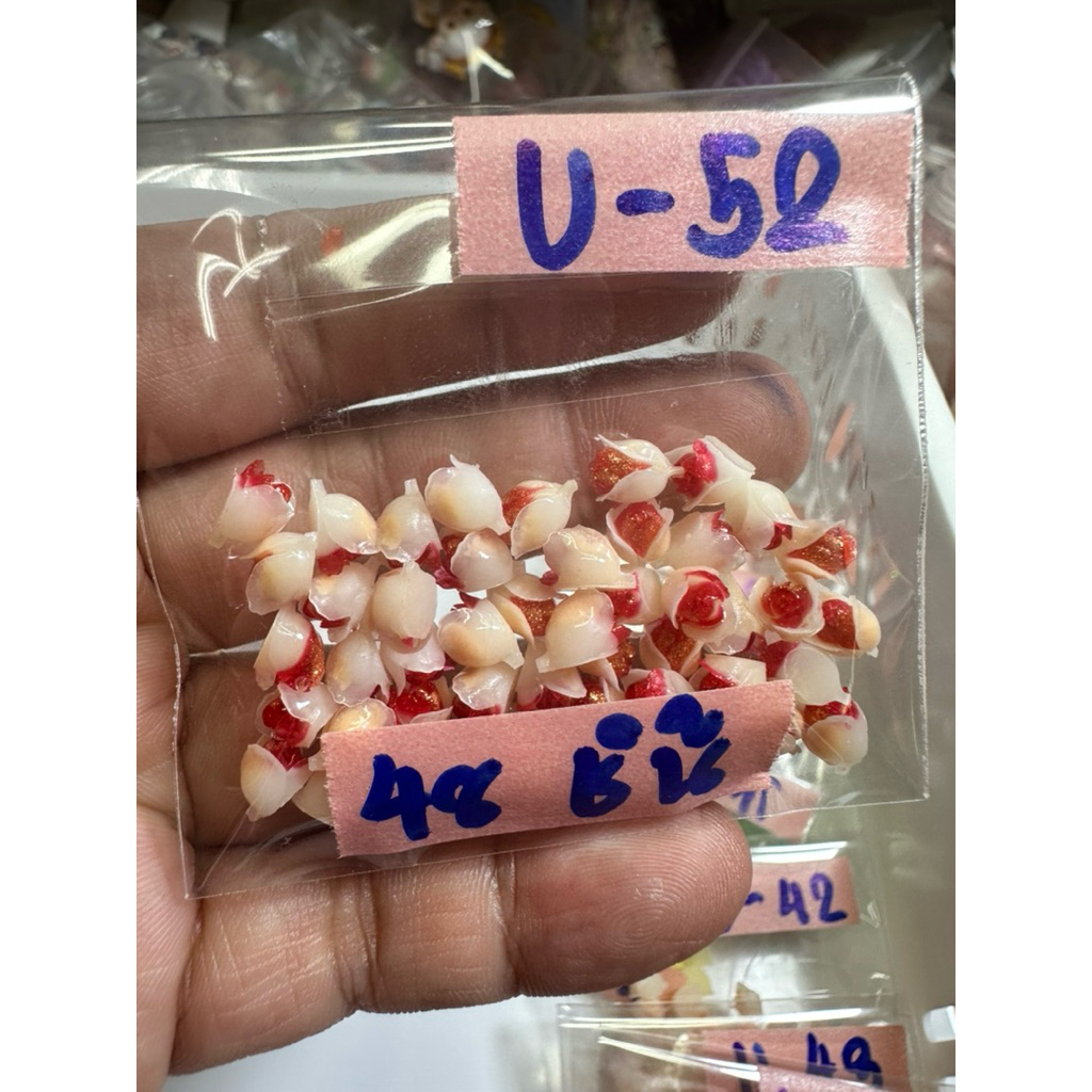 U 1-U100 20ชิ้น ดอกไม้ ดอกอ้วนช่อ หอมหมื่นลี้  ทิวลิป ตกแต่งยาดม งานdiy ตกแต่งเล็บ เรืองแสงสวย