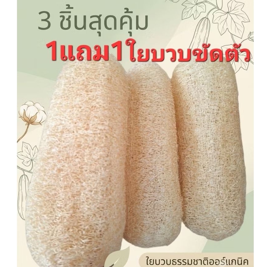 ใยบวบขัดตัว1แถม1มาจากธรรมชาติ100%ชุดสุดคุ้ม