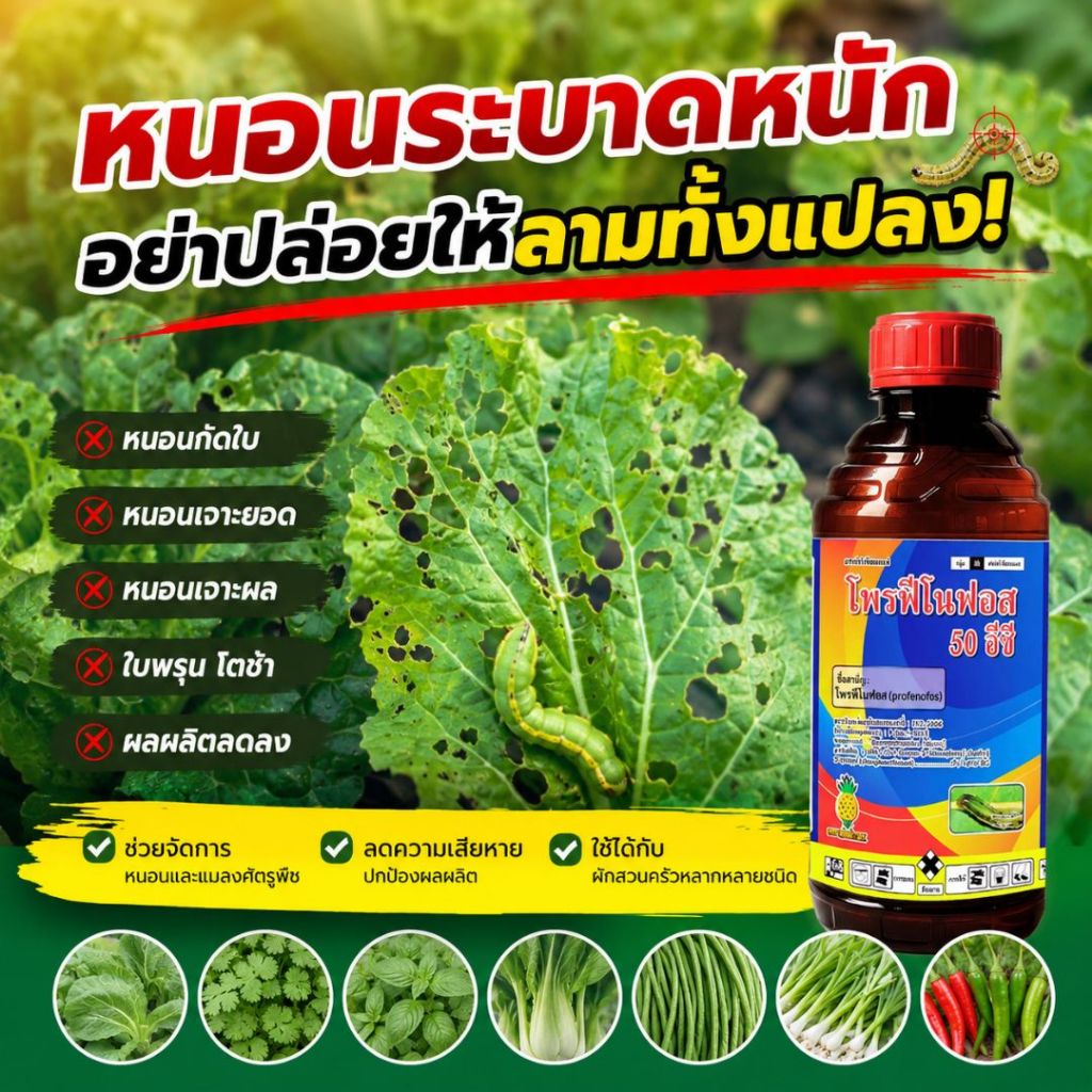 โพรฟีโนฟอส 50 อีซี ยากำจัดแมลงศัตรูพืช หนอนกินใบ รูปที่ 6