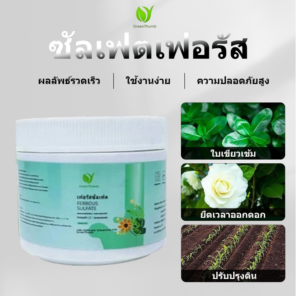 【GreenThumb】ปุ๋ย เหล็กซัลเฟต เฟอรัสซัลเฟต 250g ป้องกันโรคเหลือง ปรับสมดุลความเป็นกรดของดิน เพิ่มปริมาณธาตุเหล็กในพืช