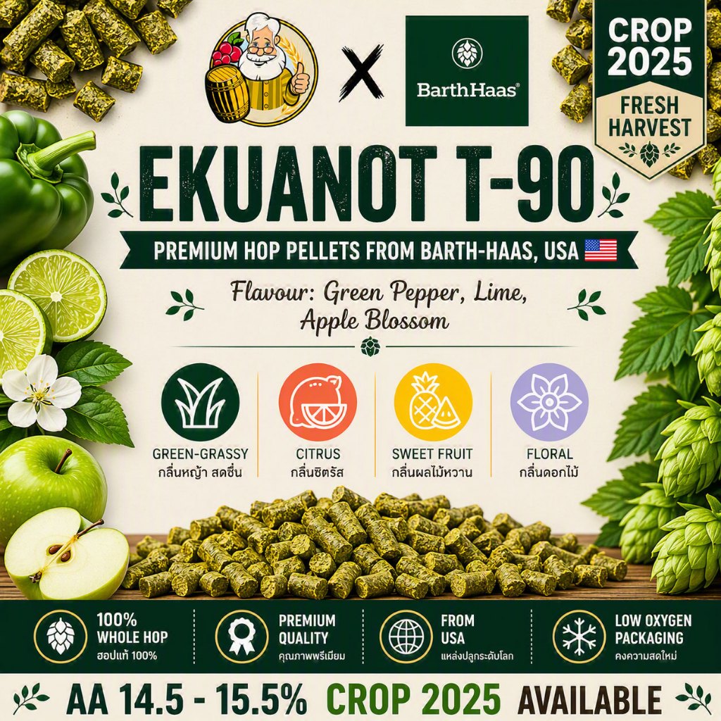 Ekuanot Hops PELLET HOPS (T90) Crop Year 2025 hops ทำเบียร์ hops beer ฮอปทำเบียร์ hops Ekuanot Hops 
