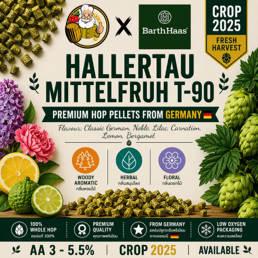 ฮัลเลอเทา มิตเทิลฟรูห์ ฮอปส์ - Hallertau Mittelfrüh Hops (GR) PELLET HOPS (T90) Crop 2025