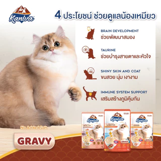 (48 ซอง/ลัง) Kaniva Pouch In Gravy อาหารแมวคานิว่า ชนิดเปียก เนื้อปลาทูน่าเน้นๆในน้ำเกรวี่ ผสมวิตามินบอล ขนาด 70g.