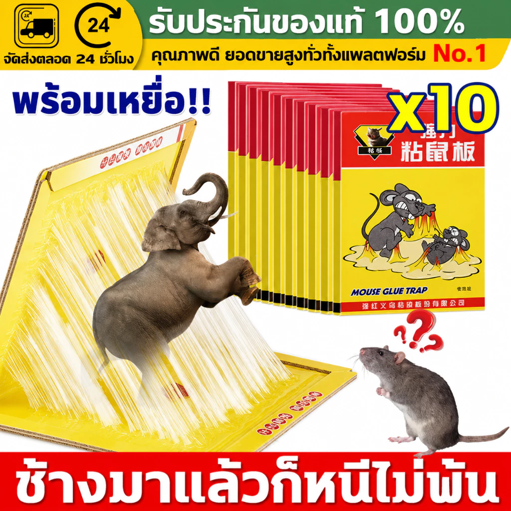 (COD)แผ่นกาวดักหนู 10/20/30 ชิ้น กาวเหนียวแน่น แผ่นหนา ดักหนูตัวใหญ่ ใช้ง่าย วางในบ้าน ครัว โกดัง ปลอดภัย ไม่ไหลเยิ้ม ดี
