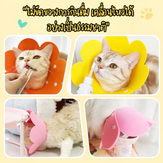 ปลอกคอกันเลีย ปลอกคอสัตว์เลี้ยง คอลล่ากันเลีย คอลล่าแมว คอลล่าสุนัข ป้องกันการเลียแผล นุ่มนิ่มใส่สบาย