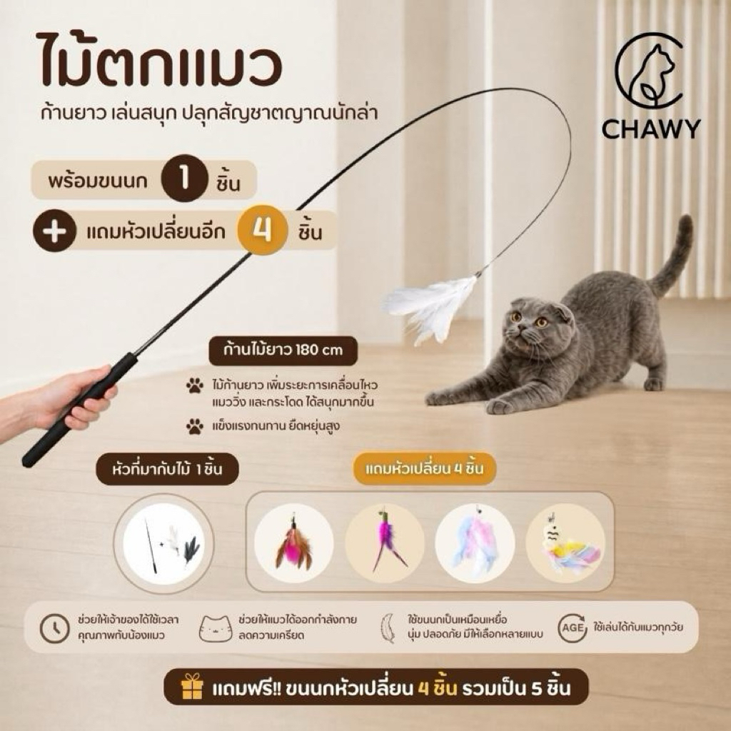 ไม้ตกแมว ก้านยาว 180cm แถมฟรี เหยื่อตกแมว ขนนกรวม 5 ชิ้น เล่นสนุก ไม้ล่อแมว Chawy ขนนก ของเล่นแมวพรีเมียม ยืดหยุ่นสูง