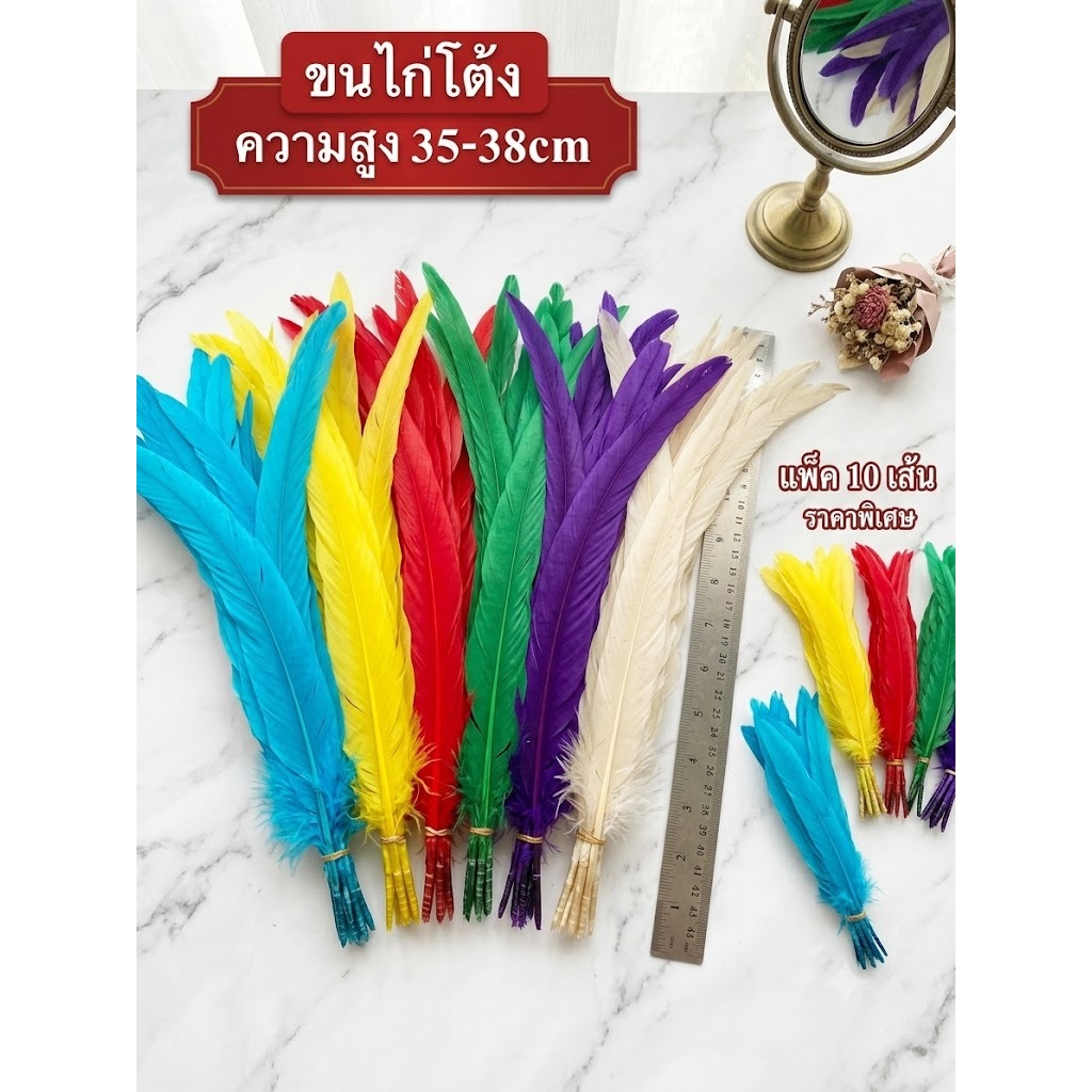 แพ็คละ 10 เส้น ขนไก่โต้ง ได้ ยาว 28-38cm ขนไก่โต้งธรรมชาติย้อมสี