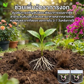 【GreenThumb】ชุดปุ๋ยบำรุงพืช โพแทสเซียมไดไฮโดรเจนฟอสเฟต+สารปรับปรุงดิน เร่งใบ ดอกเยอะ ปรับดินให้มีประสิทธิภาพ[ชุด 1แถม1]