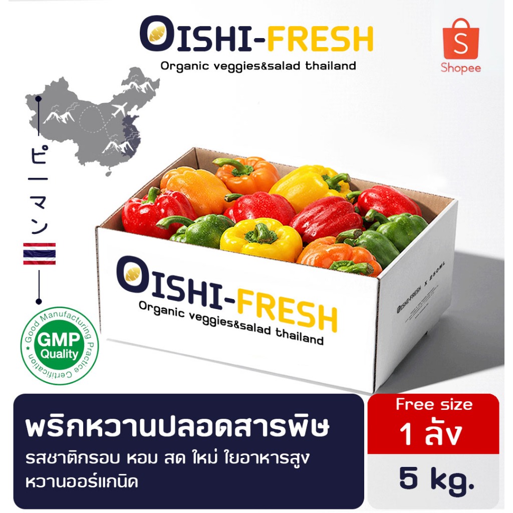 🚨ส่งด่วน🥢ร้านอาหาร🫑พริกหวาน ปลอดสารพิษ 5 กก. ผักร้านอาหาร ผักยกลัง ผักราคาส่ง ผักชาบู ผักโรงแรม ส่ง 24 ชม.