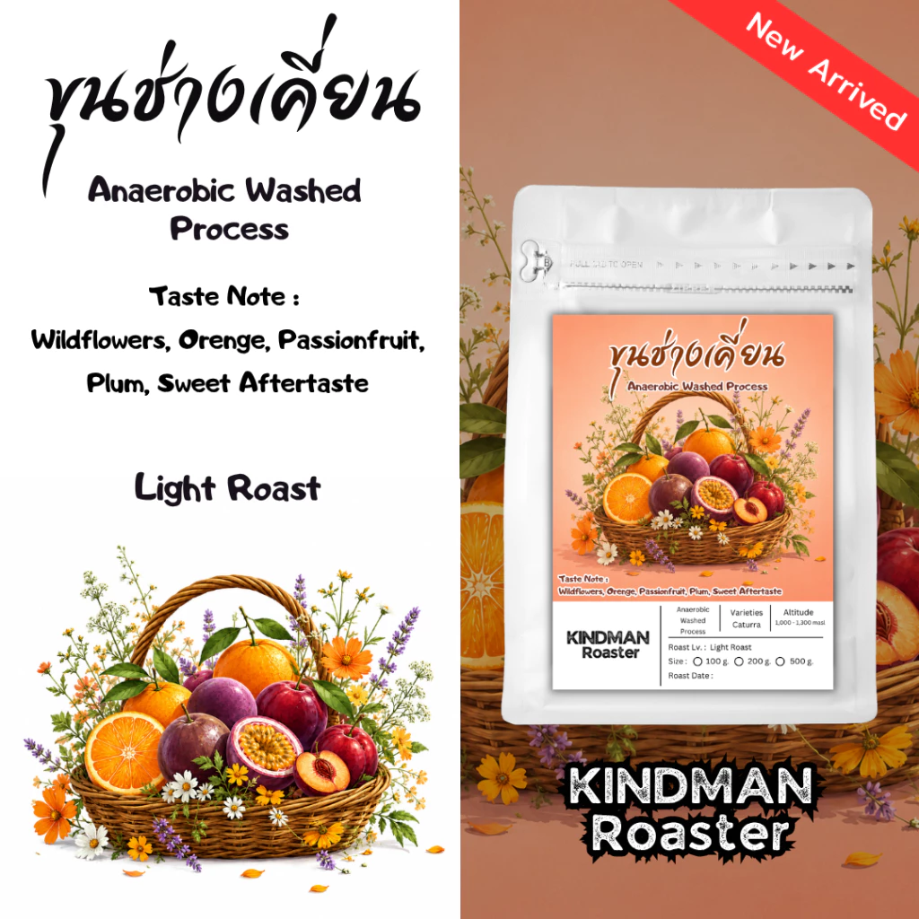 เมล็ดกาแฟ ขุนช่างเคี่ยน Anaerobic Washed Peocess จ.เชียงใหม่ by KINDMAN Roaster