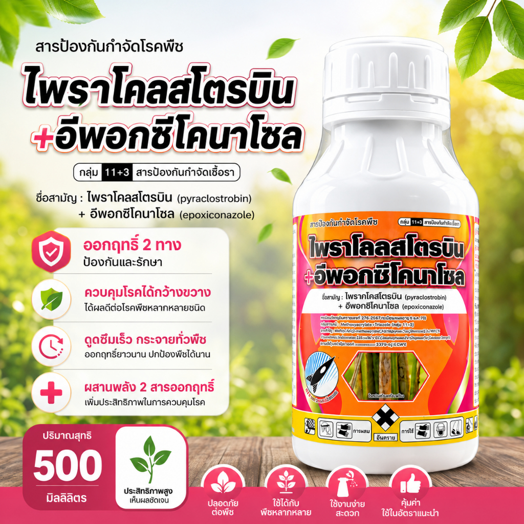 ไพราโคลสโตรบิน + อีพอกซี่โคนาโซล 500ml สารป้องกันโรคพืช