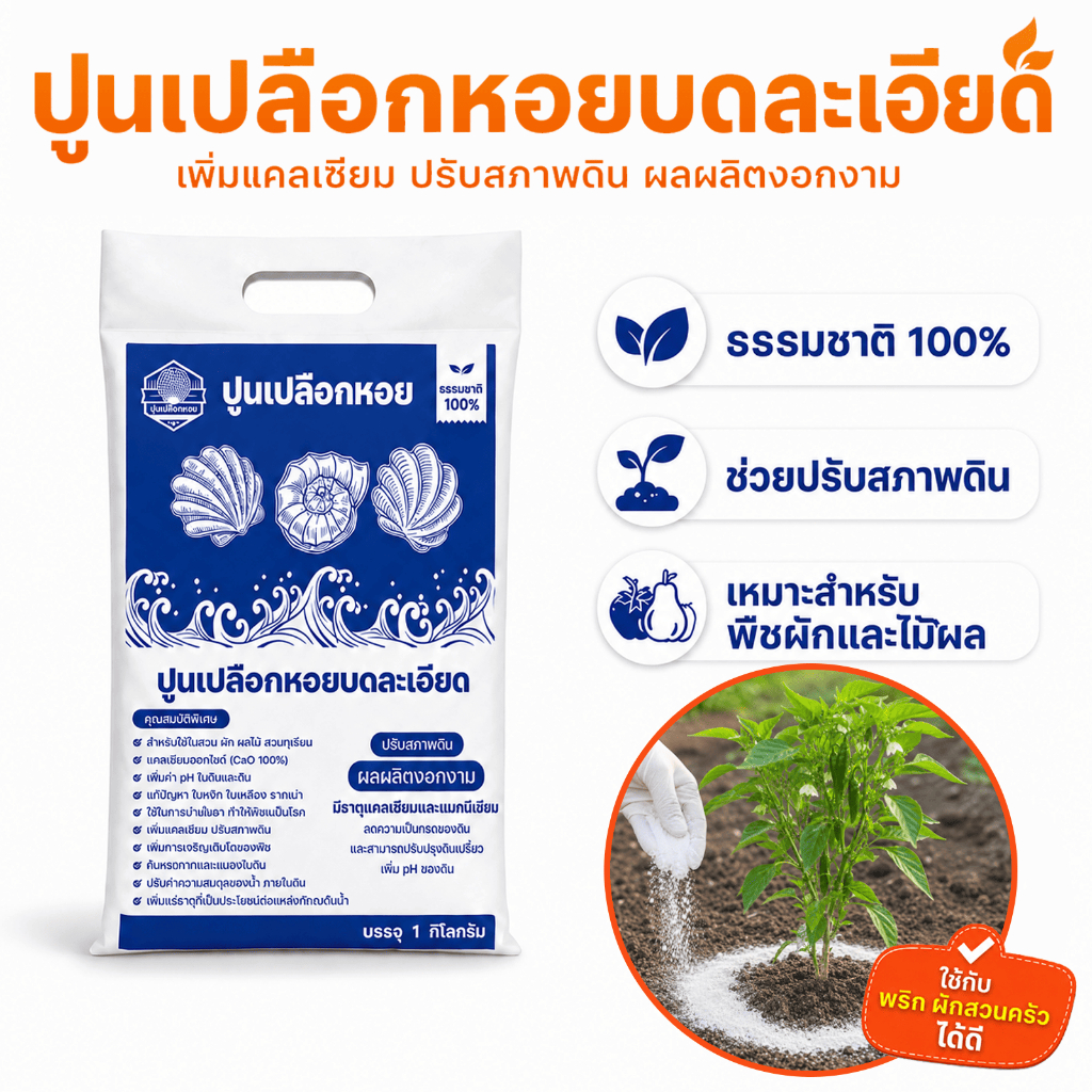 (1 กิโล) ปูนเปลือกหอยบดละเอียด หอยแท้ 100 % ปรับค่า PH ในดิน ปูนปรับสภาพดิน ฆ่าเชื้อราในเดิน ไล่แมลง