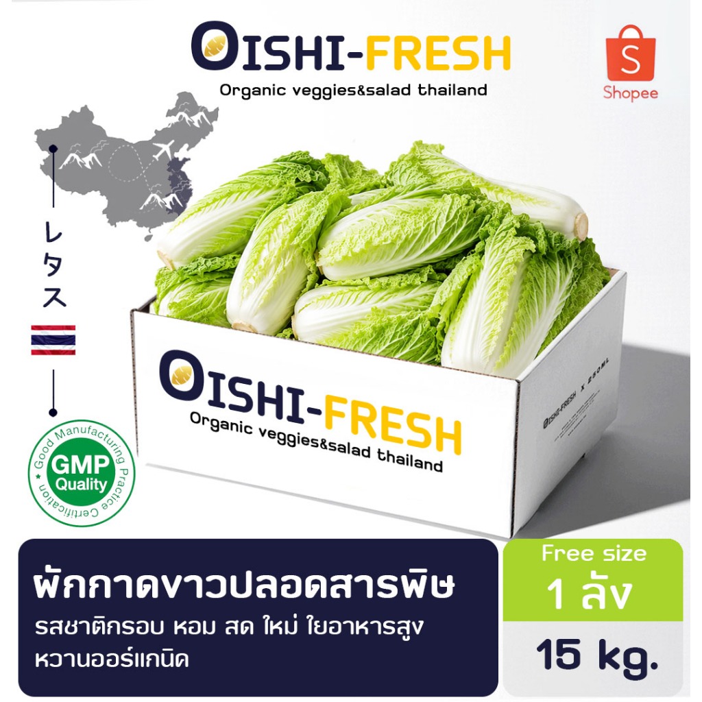 🚨ส่งด่วน🥢ผักกาดขาวปลอดสารพิษ 15 กก. รสชาติกรอบ สด ใหม่ ใยอาหารสูง หวานออร์แกนิค ส่งทันที 24 ชม.