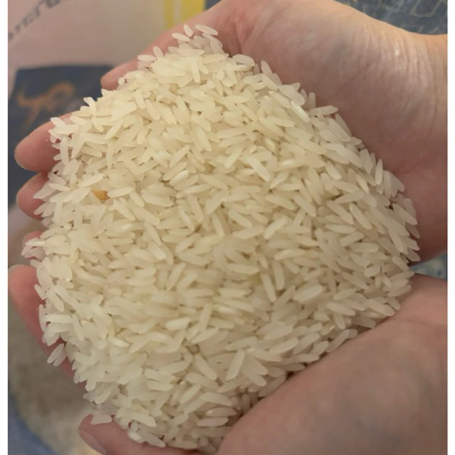 ข้าวหอมมะลิ105แท้ 1กิโลกรัม (ปลูกเอง สีเอง ขายเอง)