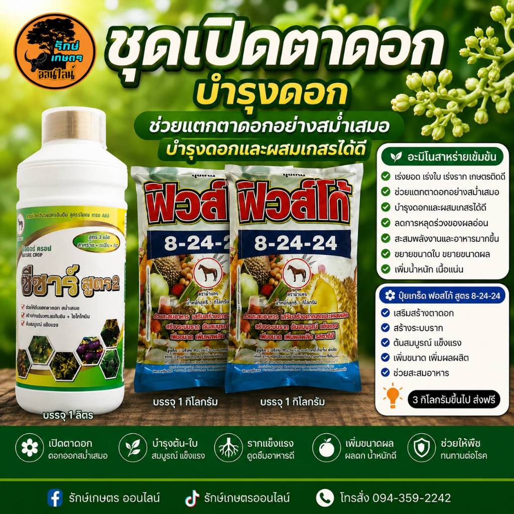 เซ็ท ฮอร์โมนเปิดตาดอก บำรุงดอก เร่งตาดอก เพิ่มผลผลิต อะมิโสาหร่าย 1 ลิตร 8-24-24 2 กิโล
