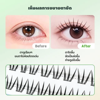 LASHSABAI ขนตาเกาหลีไม่ใช้กาว เกิร์ลกรุ๊ป ขนตาเป็นช่อ ขึ้นกล้อง ติดง่าย เบาสบายS211-213