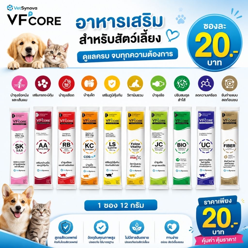 วิตามินแมวเลีย VF CORE