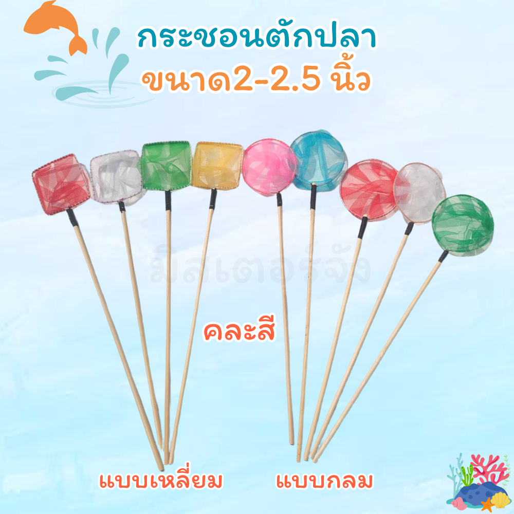 กระชอนตักปลา ขนาดประมาณ 2-2.5 นิ้ว ด้ามไม้