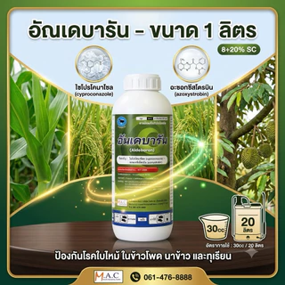อันเดบารัน 1 ลิตร สารไซโปรโคนาโซล + อะซอกซีสโตรบิน ป้องกันโรคใบไหม้ ในข้าวโพด นาข้าว ทุเรียน 8+20% SC ยาเชื้อรา