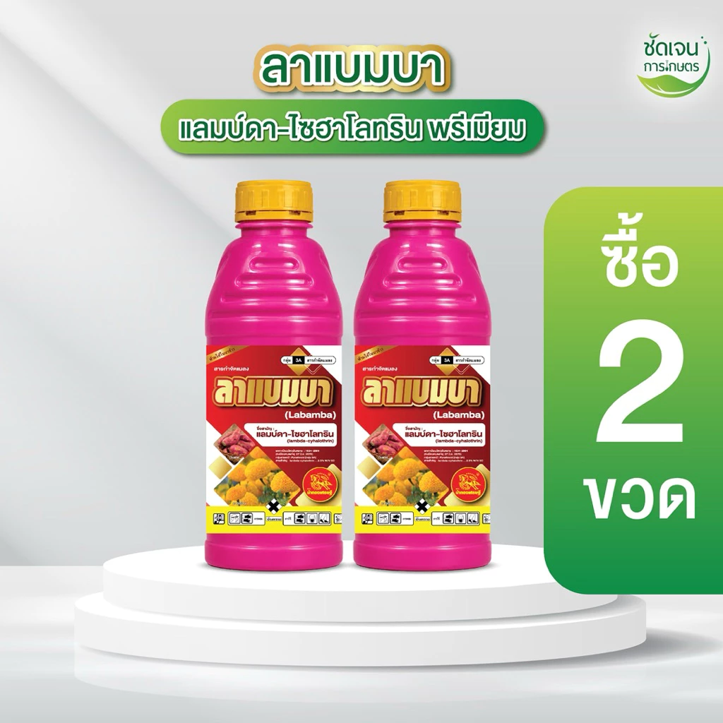 ลาแบมบา ตราม้าทองเศรษฐี **2ขวด**(แลมบ์ดาไซฮาโลทรินพรีเมียม) น็อคสูตรเย็นพ่นได้ทุกระยะ ขนาด1 ลิตรใช้ได้15 ไร่