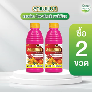 ลาแบมบา ตราม้าทองเศรษฐี **2ขวด**(แลมบ์ดาไซฮาโลทรินพรีเมียม) น็อคสูตรเย็นพ่นได้ทุกระยะ ขนาด1 ลิตรใช้ได้15 ไร่